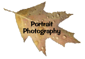 Portrait Photography